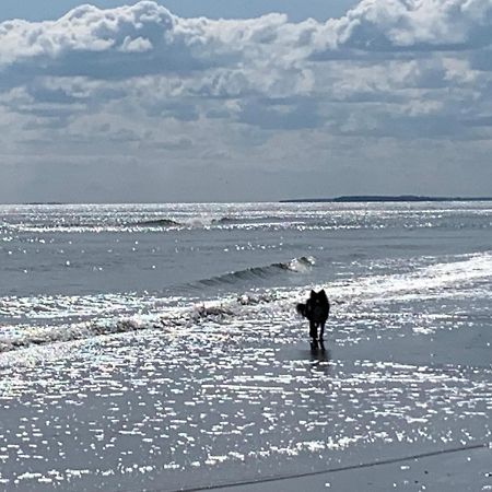 Ferienwohnungen Goehren Urlaub Mit Hund Eksteriør billede